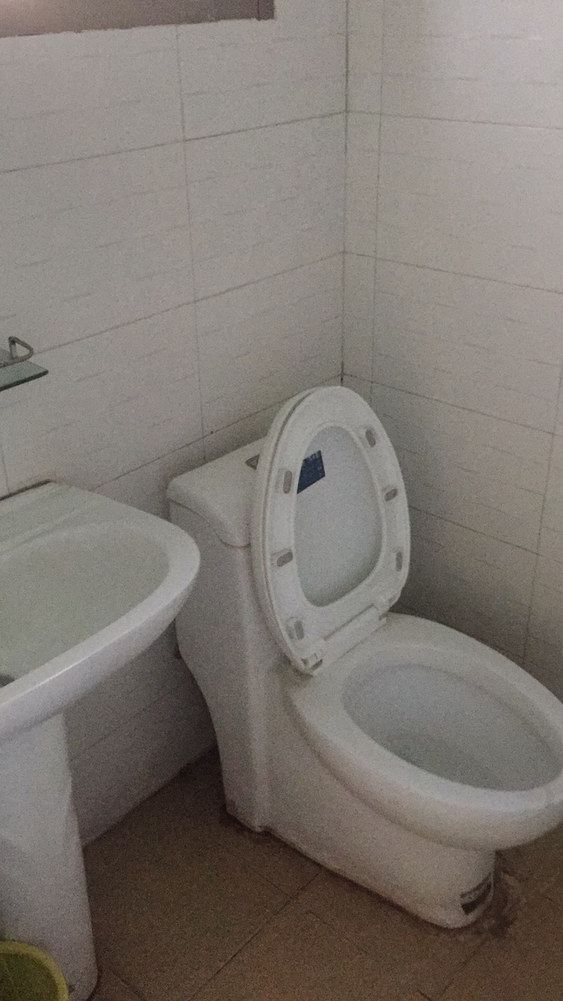 舒适双床房