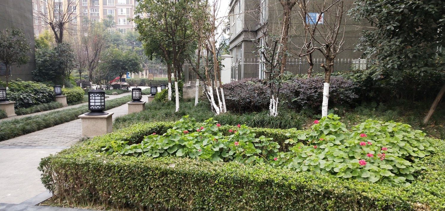 成都张姐民宿