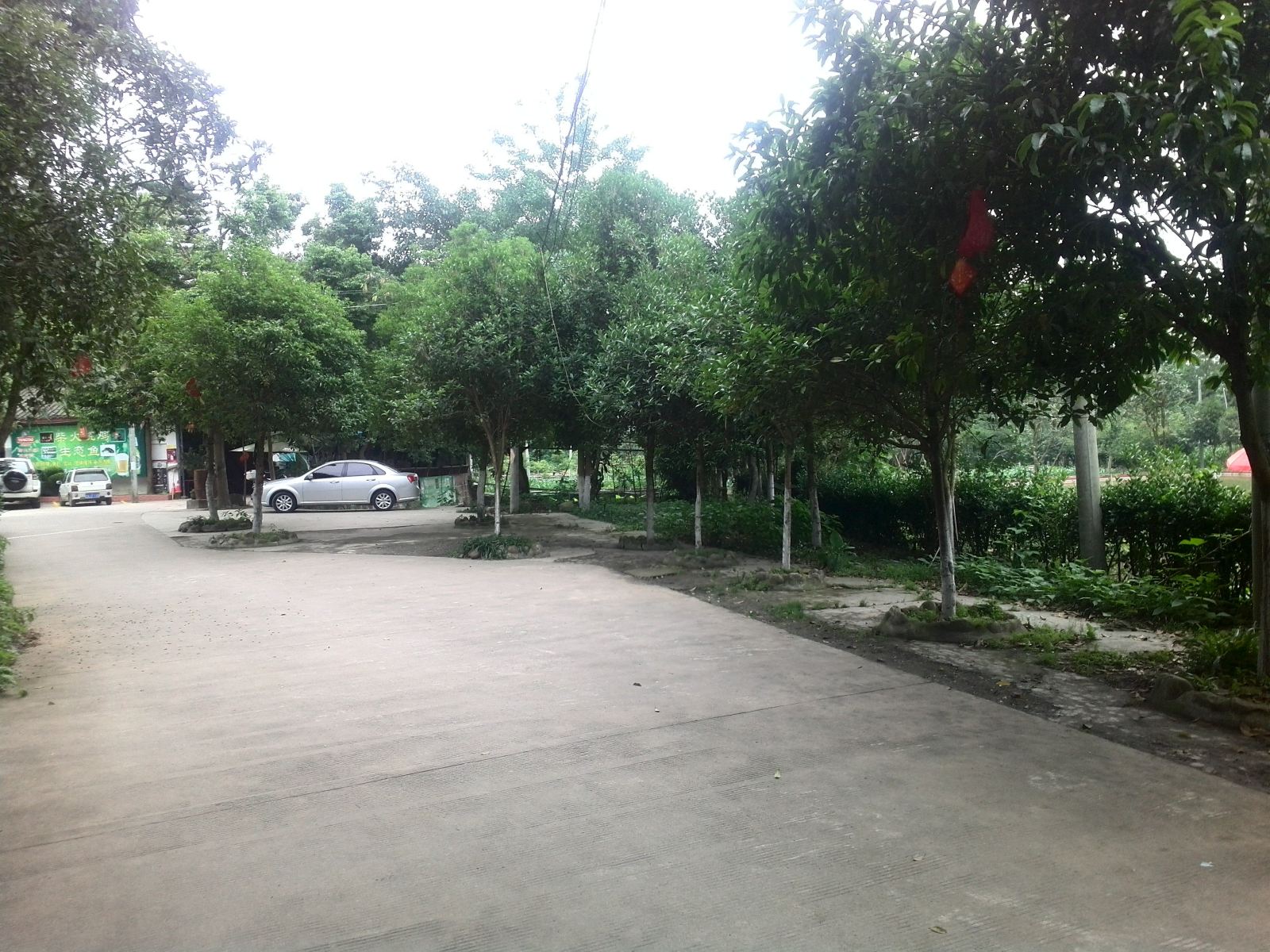 公共区域