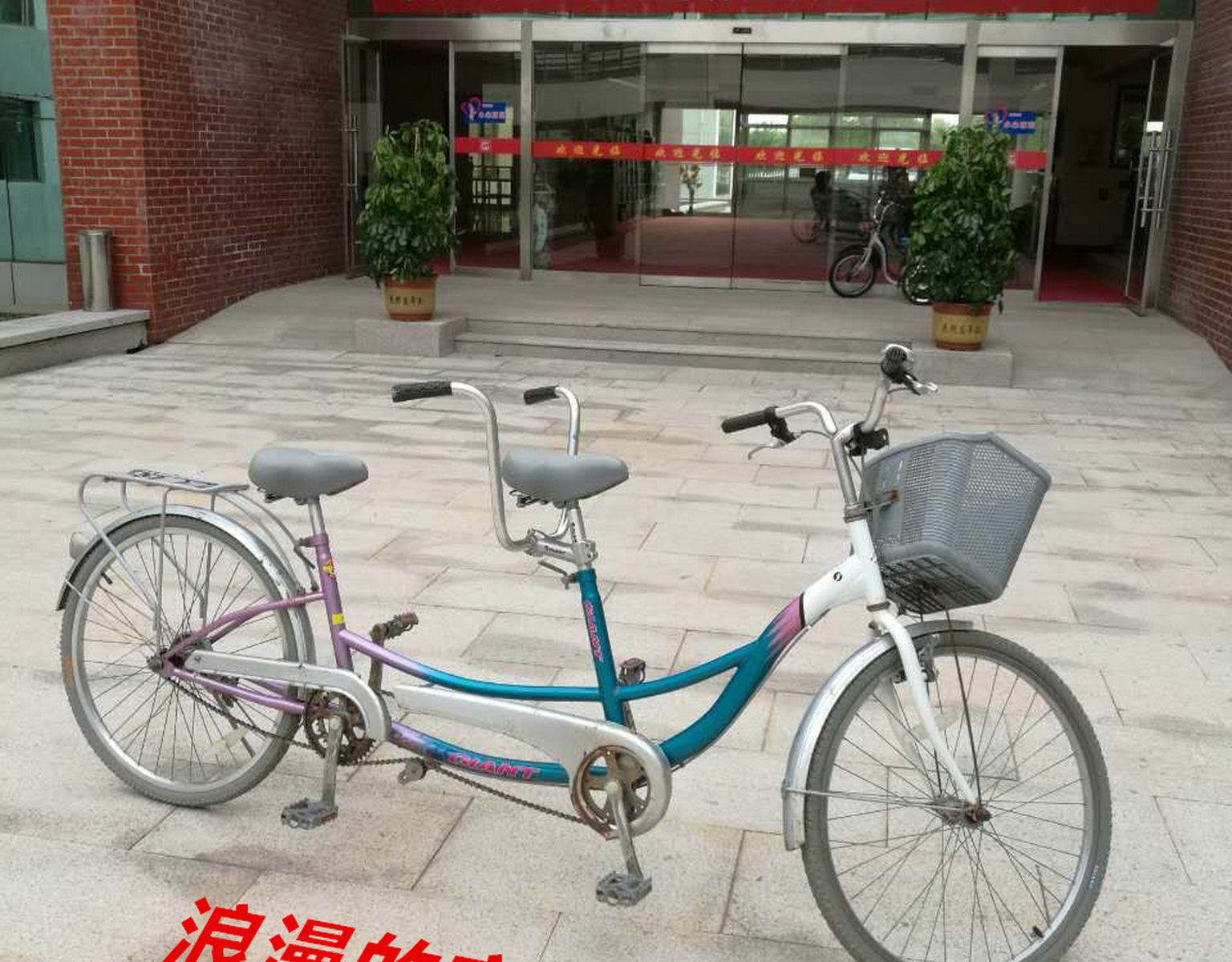 其他