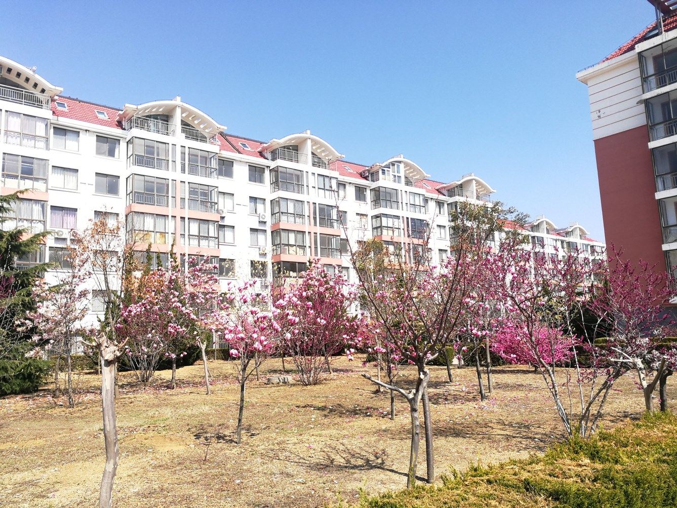 威海海上升明月公寓(2号店)