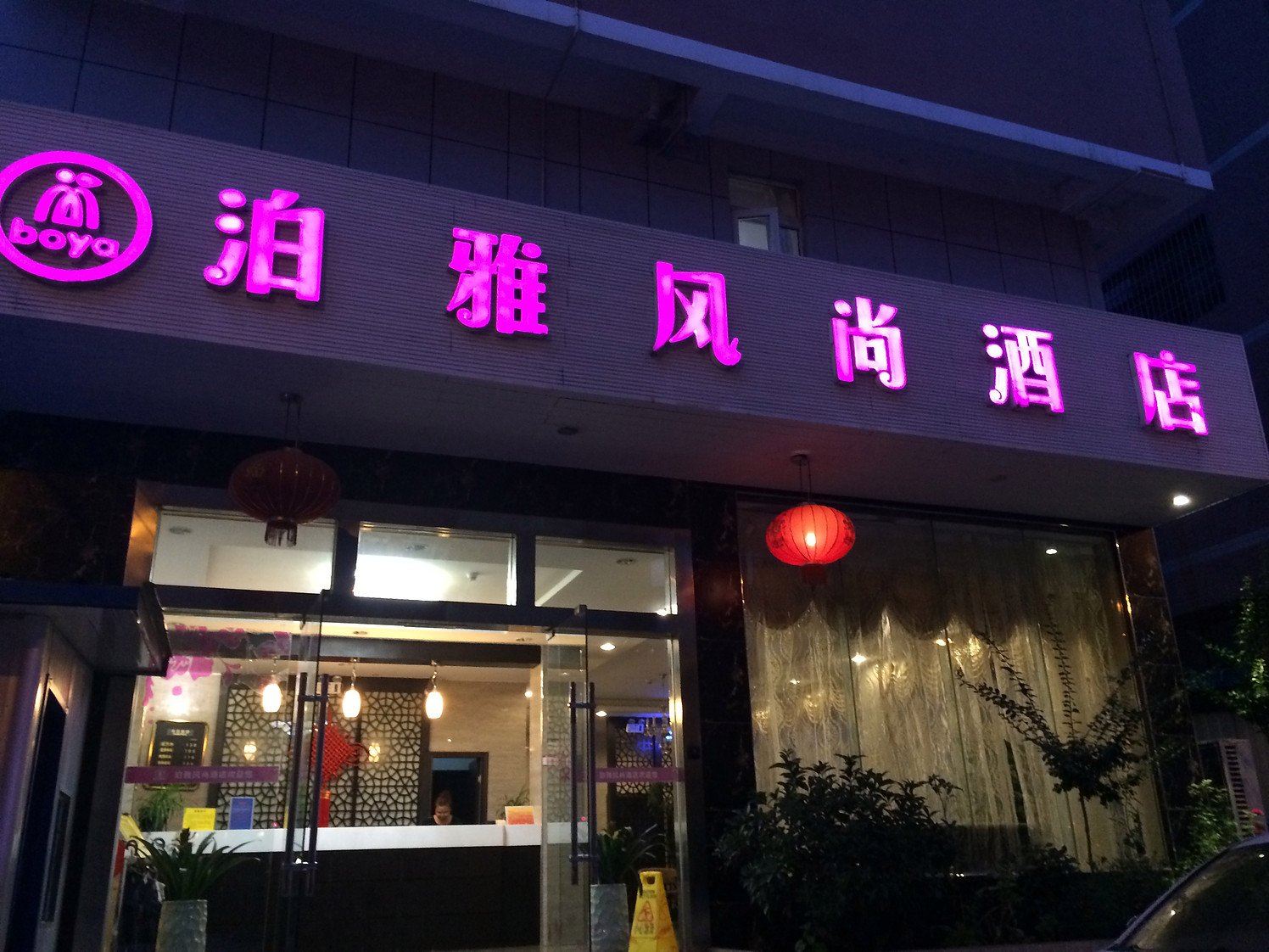 外观