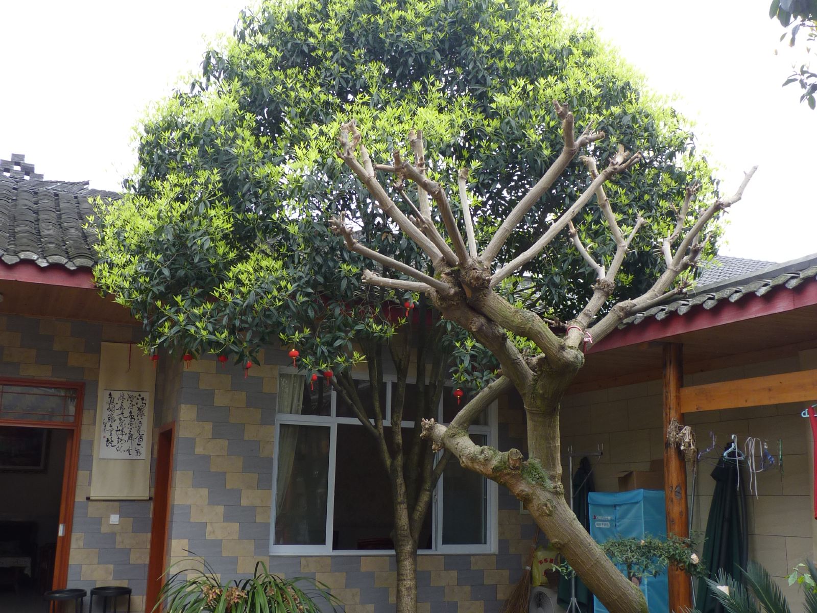 公共区域