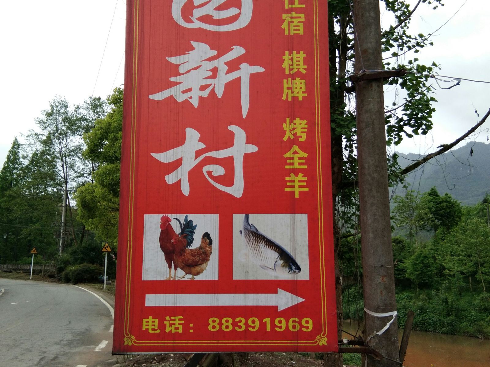 外观