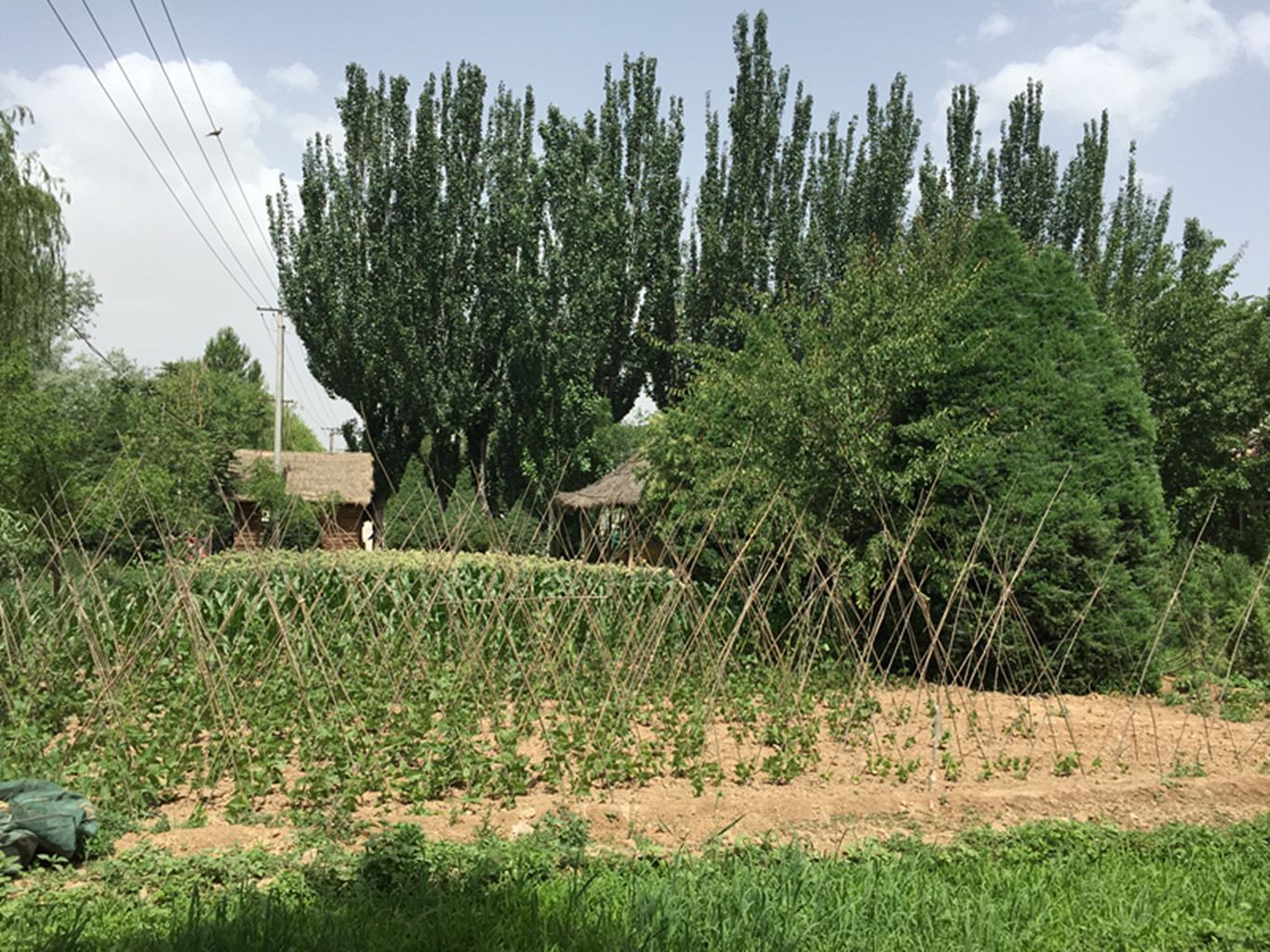 健身娱乐设施