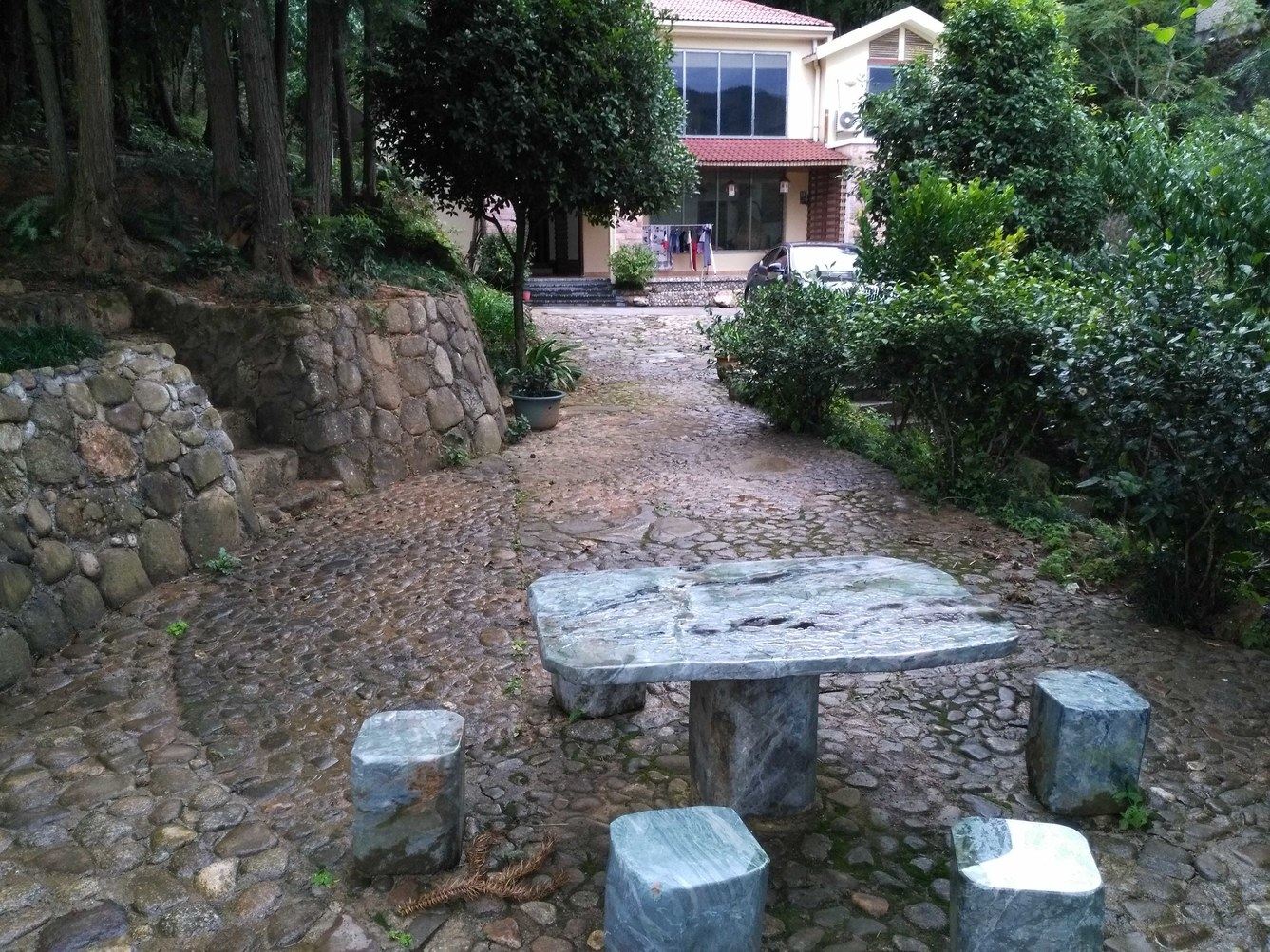 外观