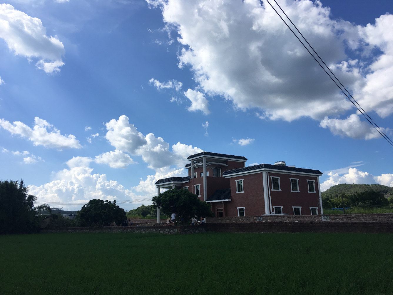 外观