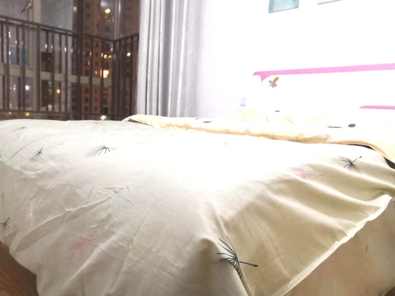 舒适清新二室一厅套房