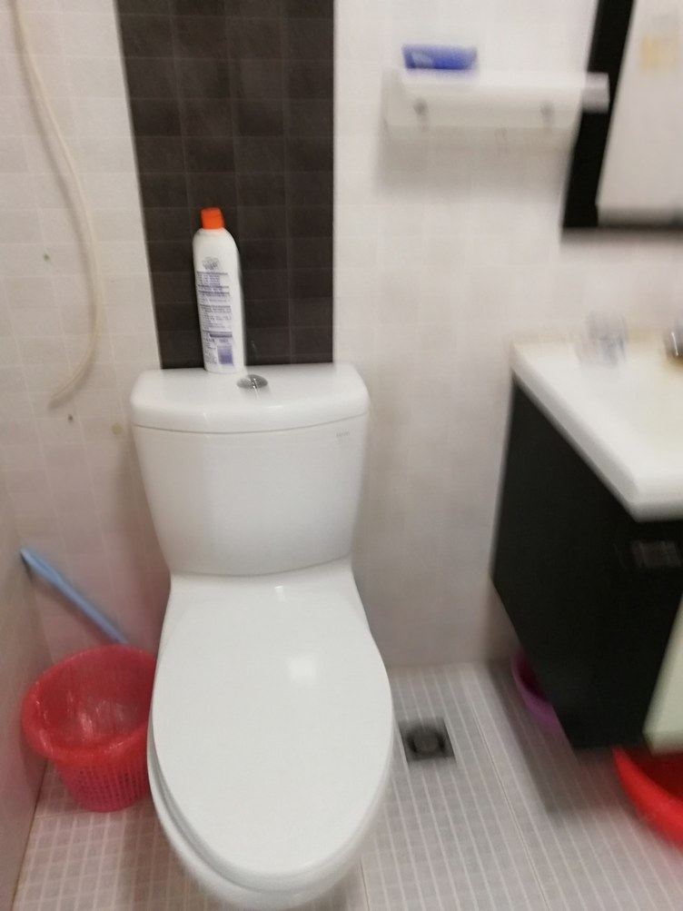 普通豪华园景房