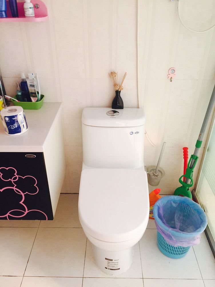 精装一室一厅