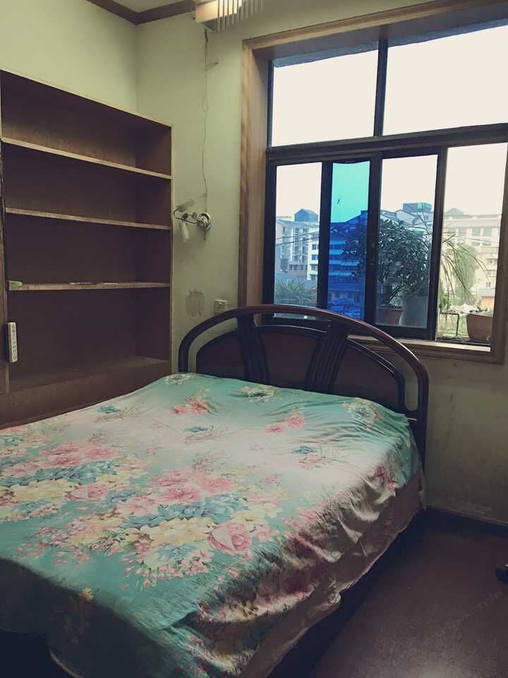 普通单人间