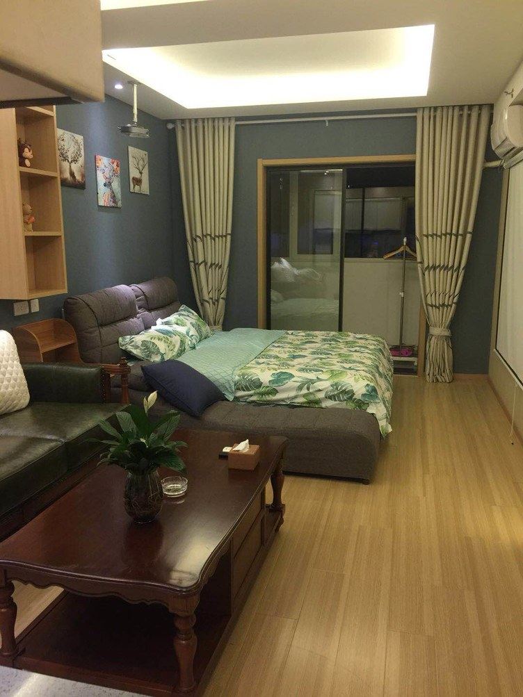高端一室大床房