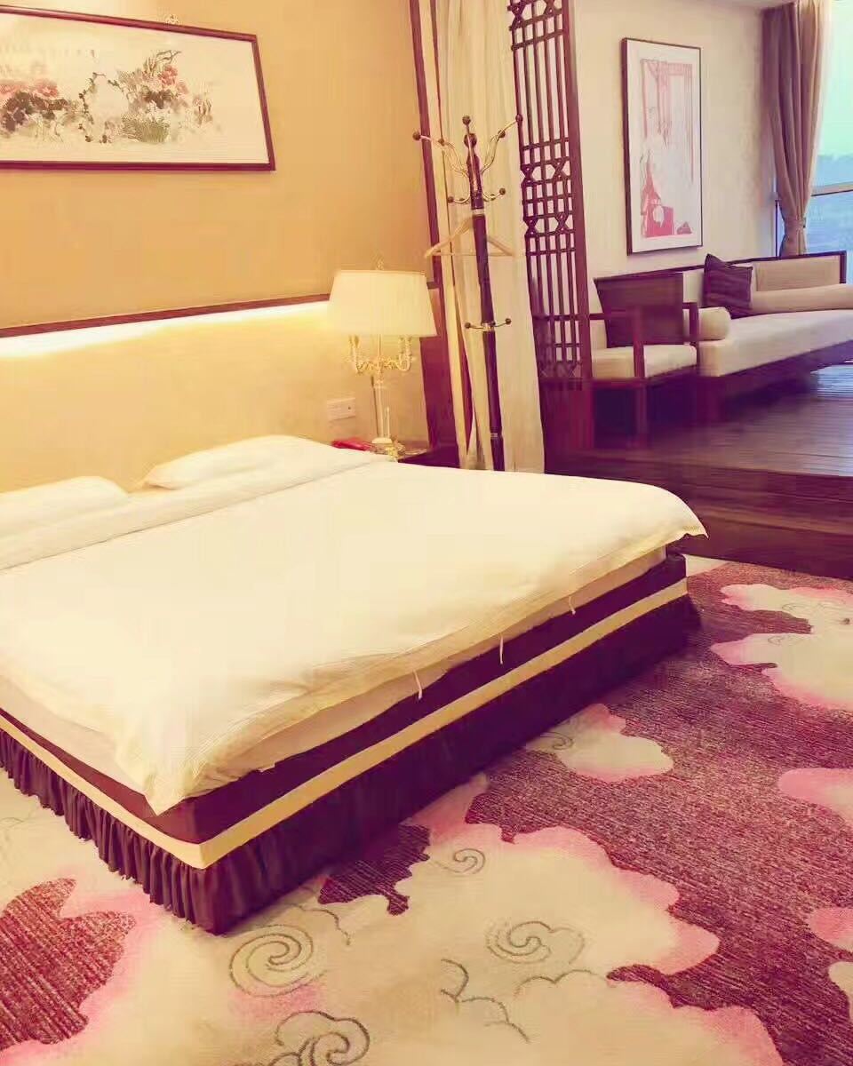 豪华内景房