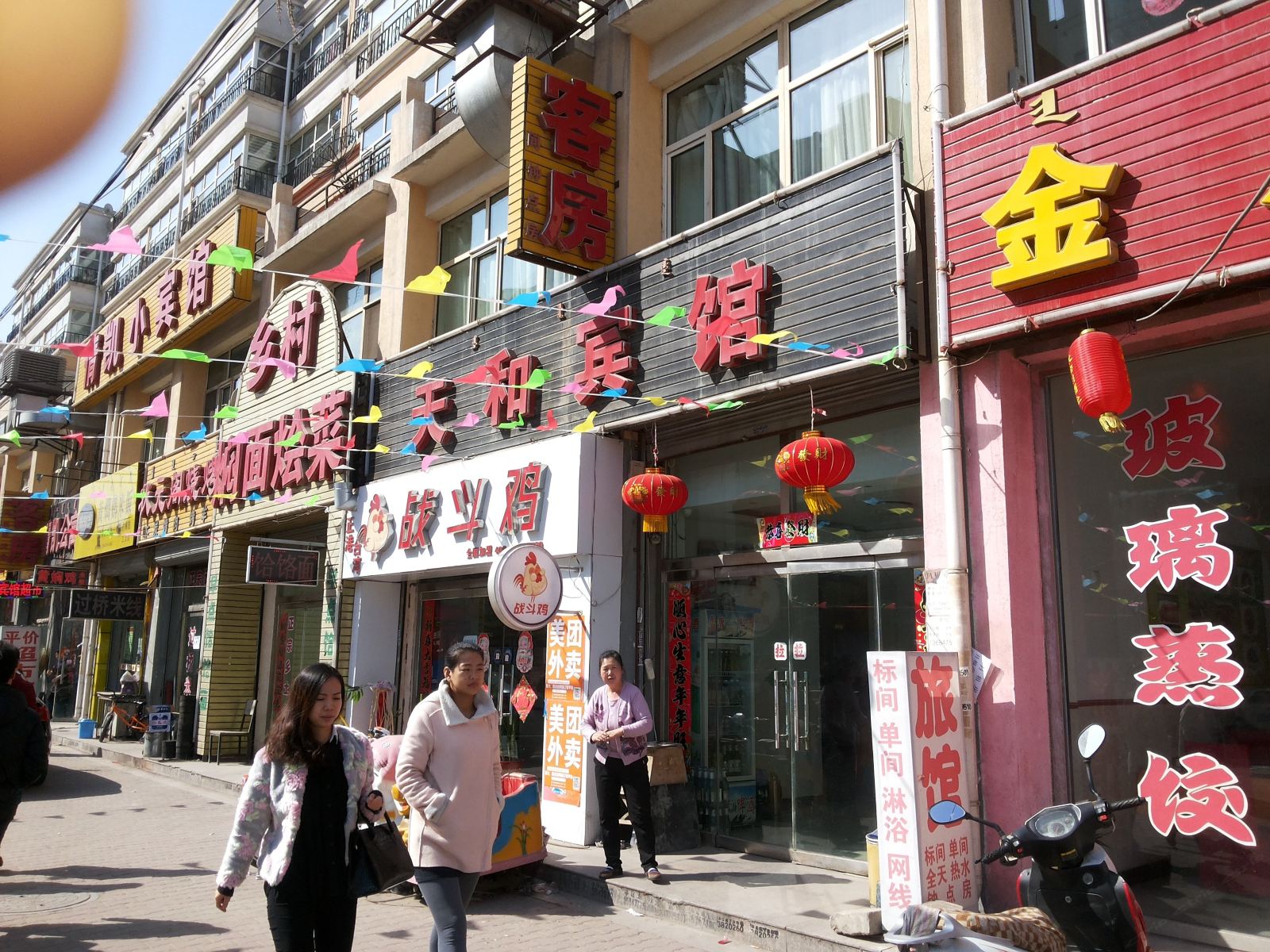 外观