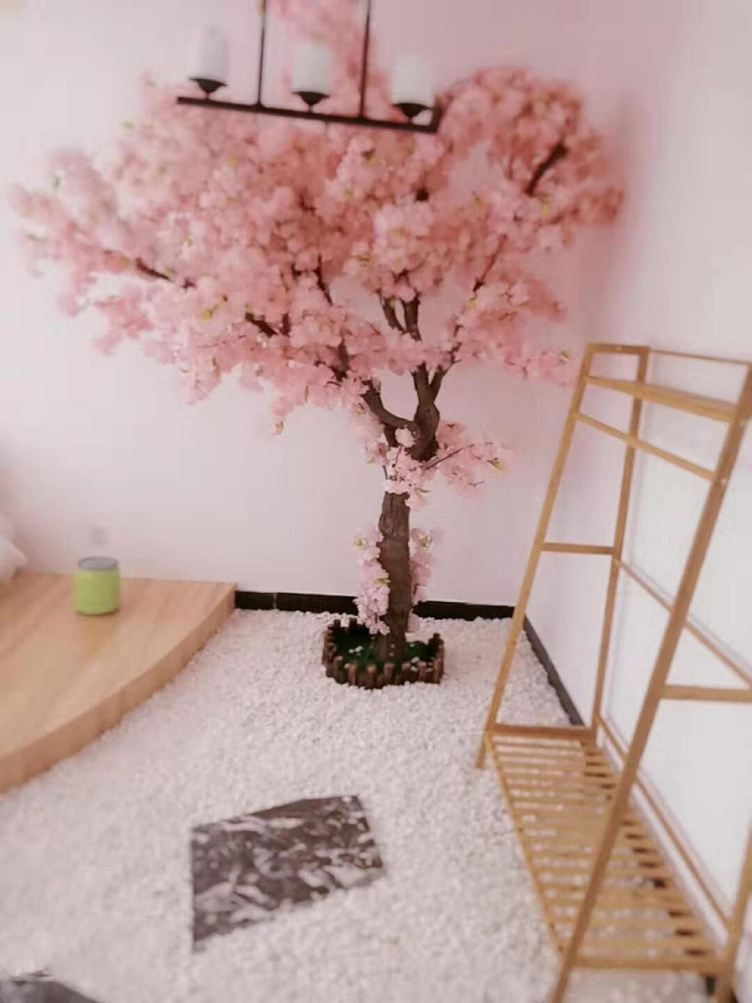 成都我属猪公寓