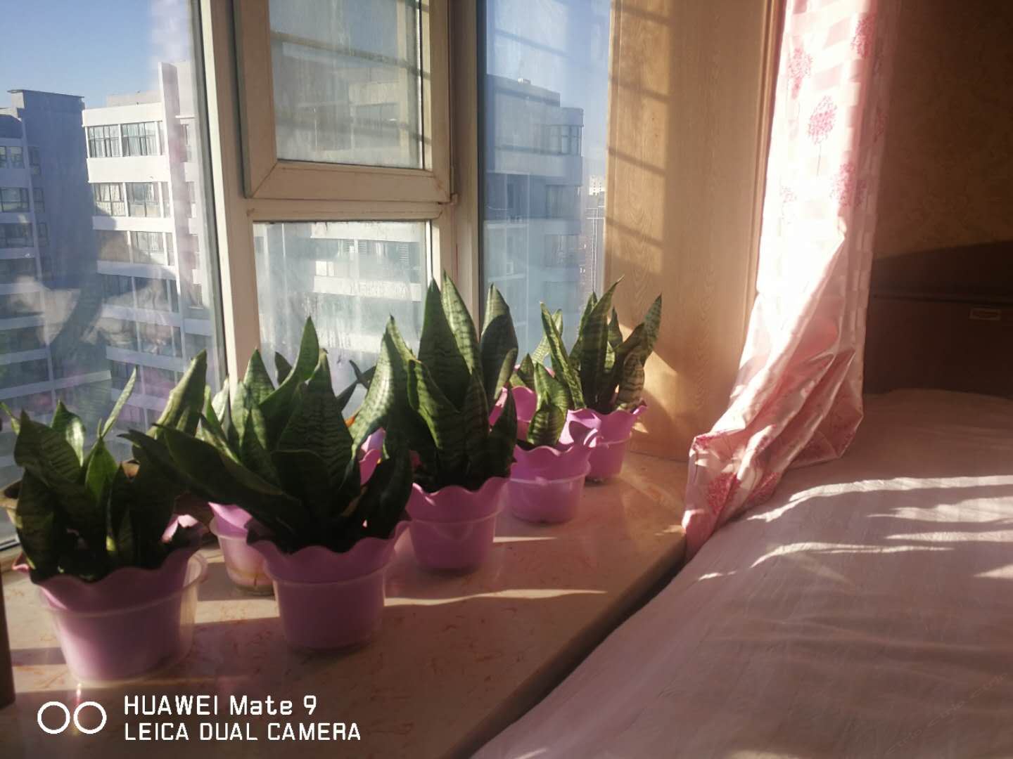 三人间阳台