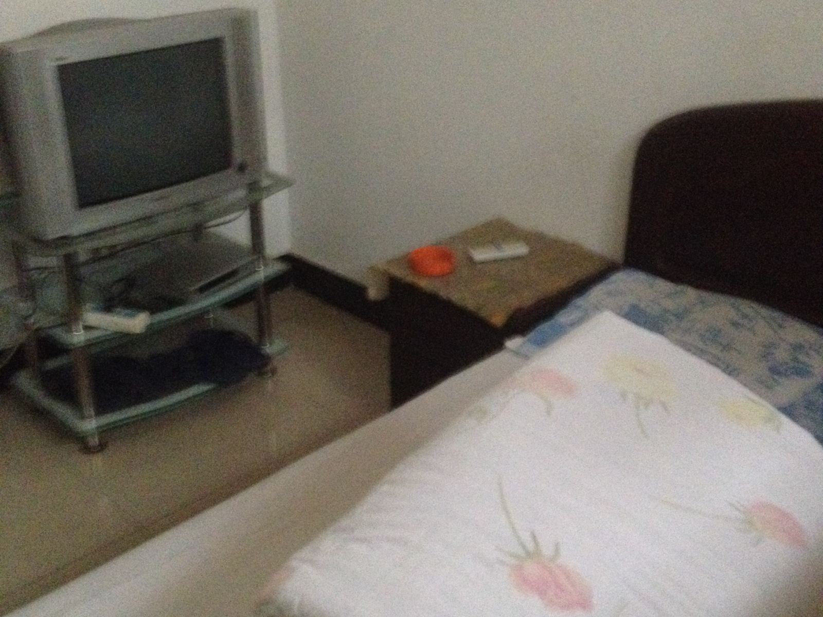 普通大床房