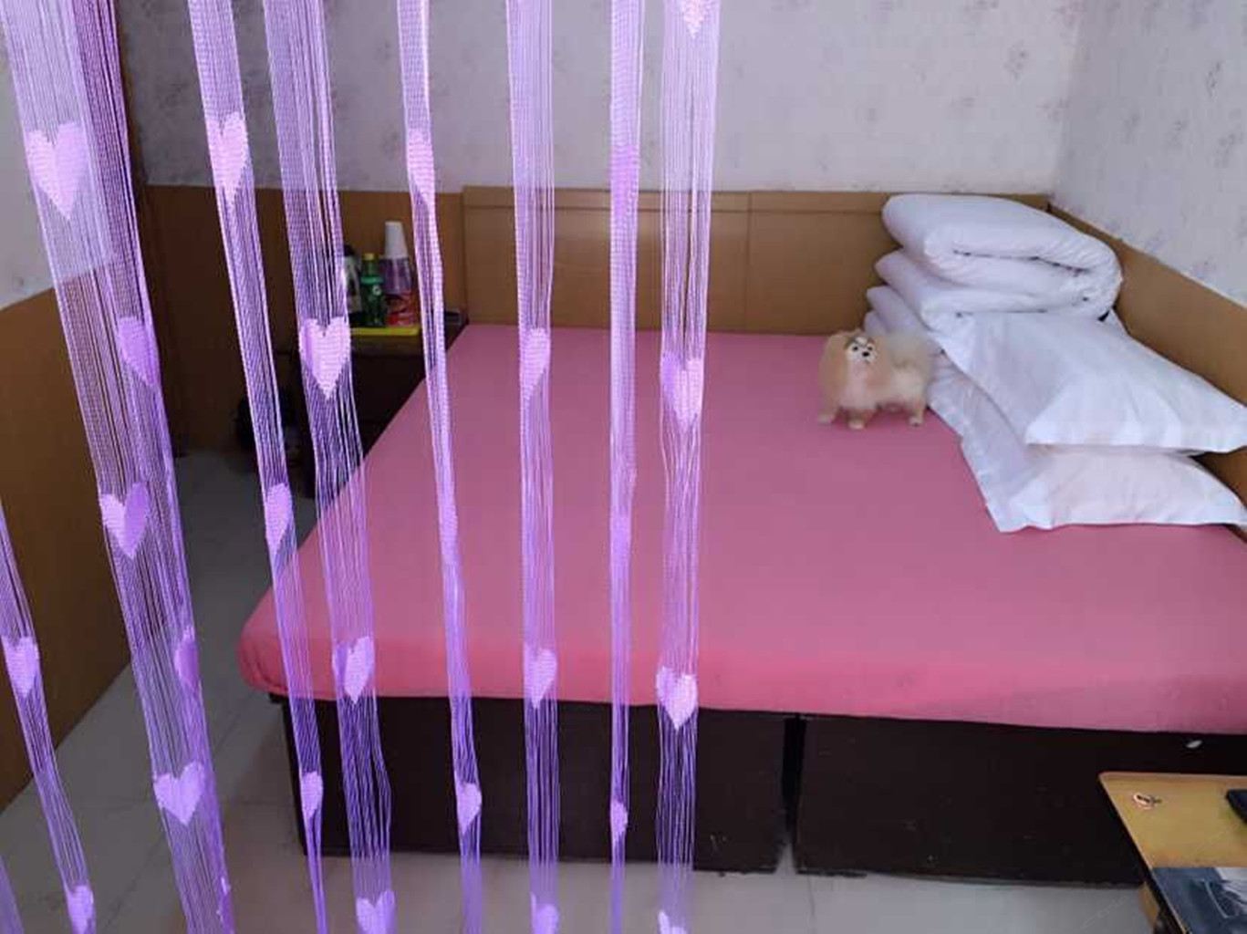 大床房