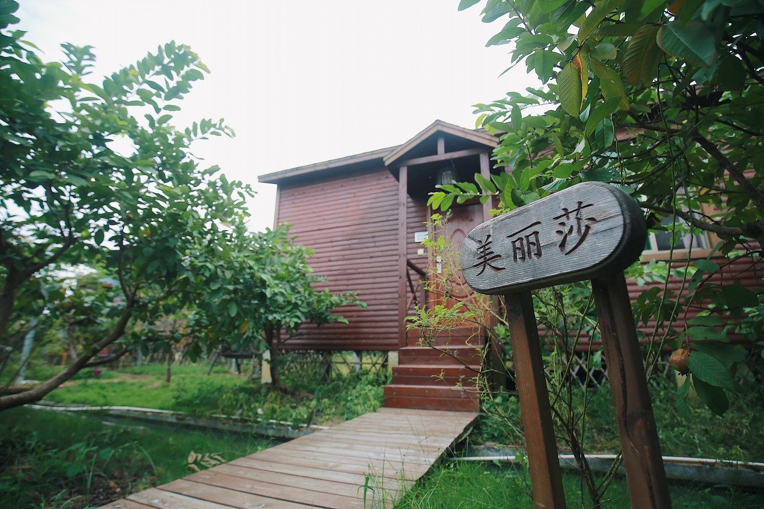 其他