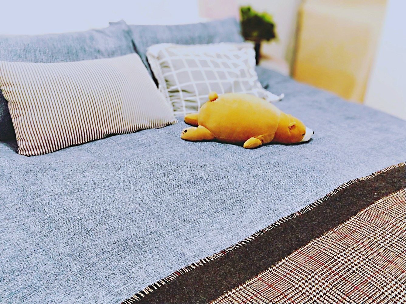 邂逅二室一厅套房