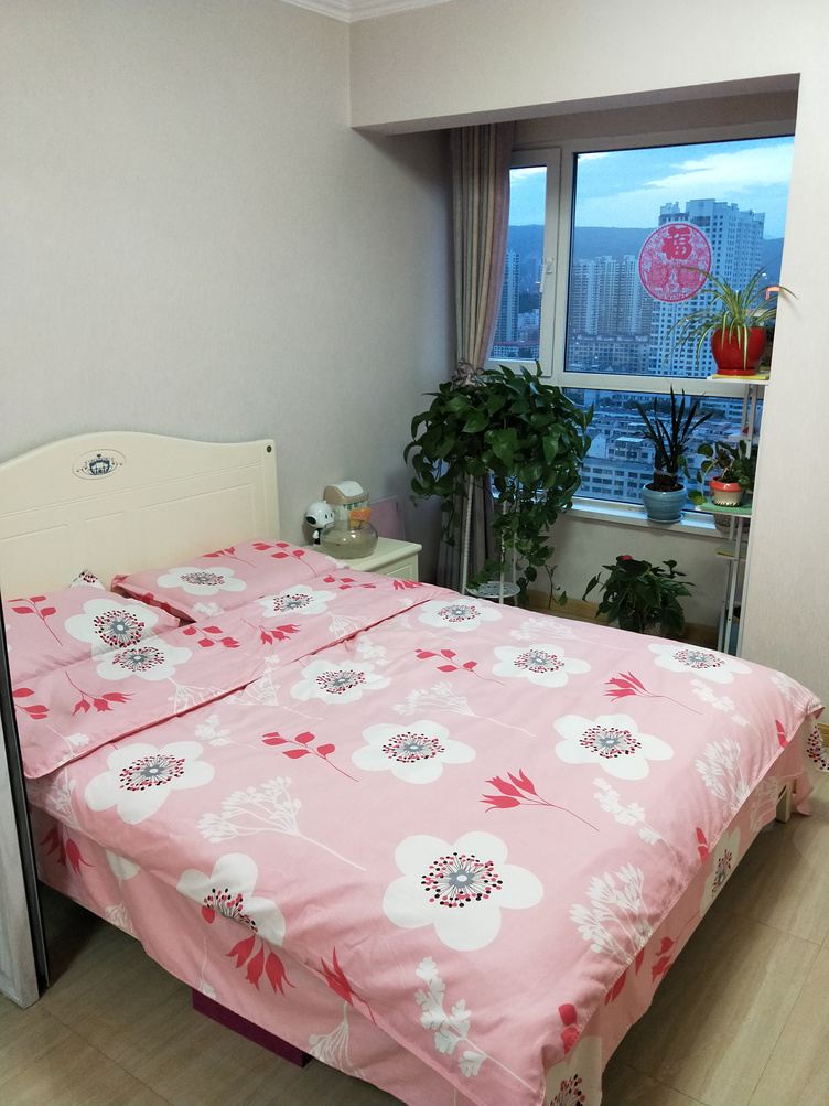 精装一室大床房