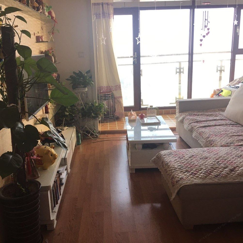 精装一室一厅套房