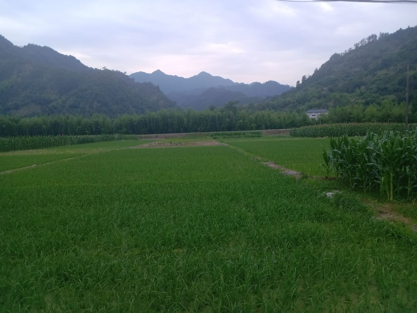 杭州青红的小屋(5号店)