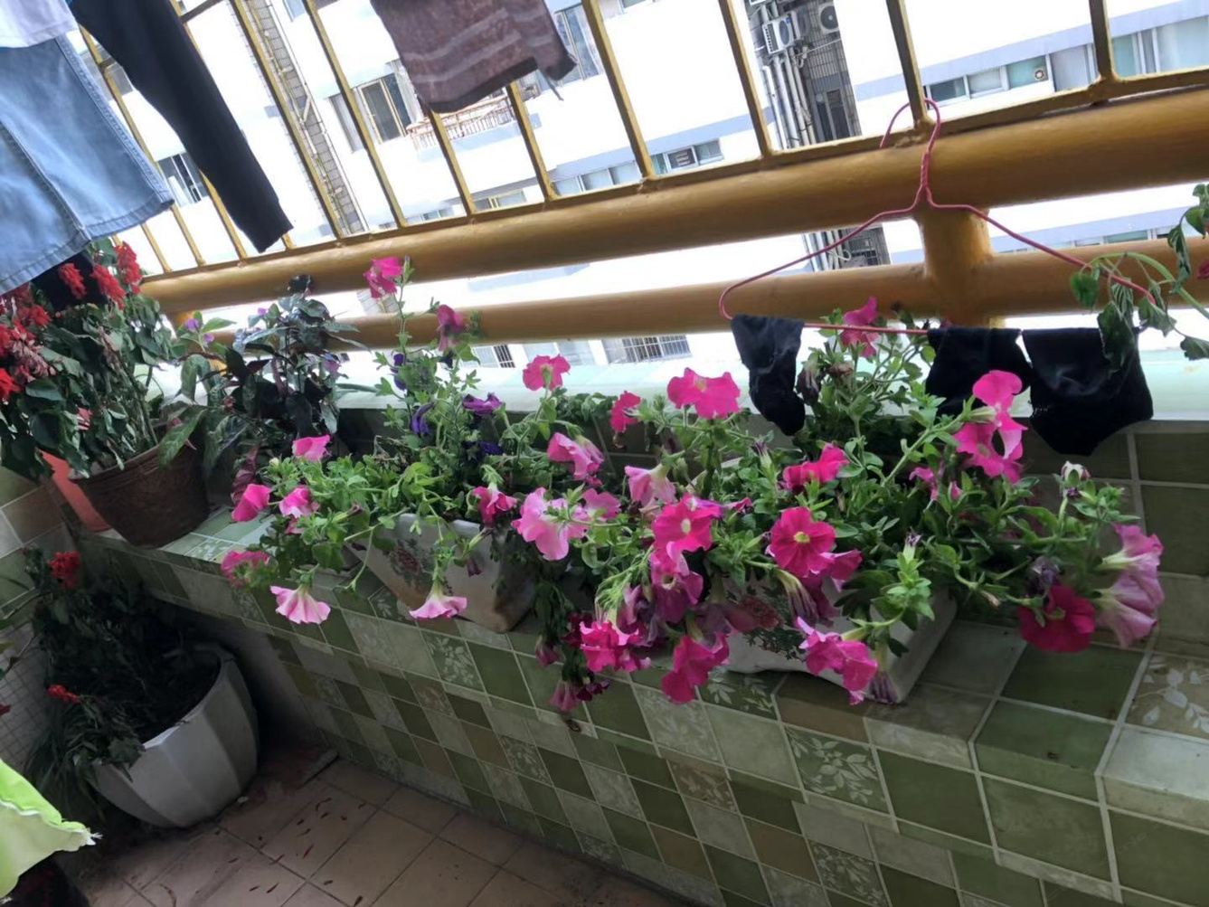 深圳爱的小巢520公寓