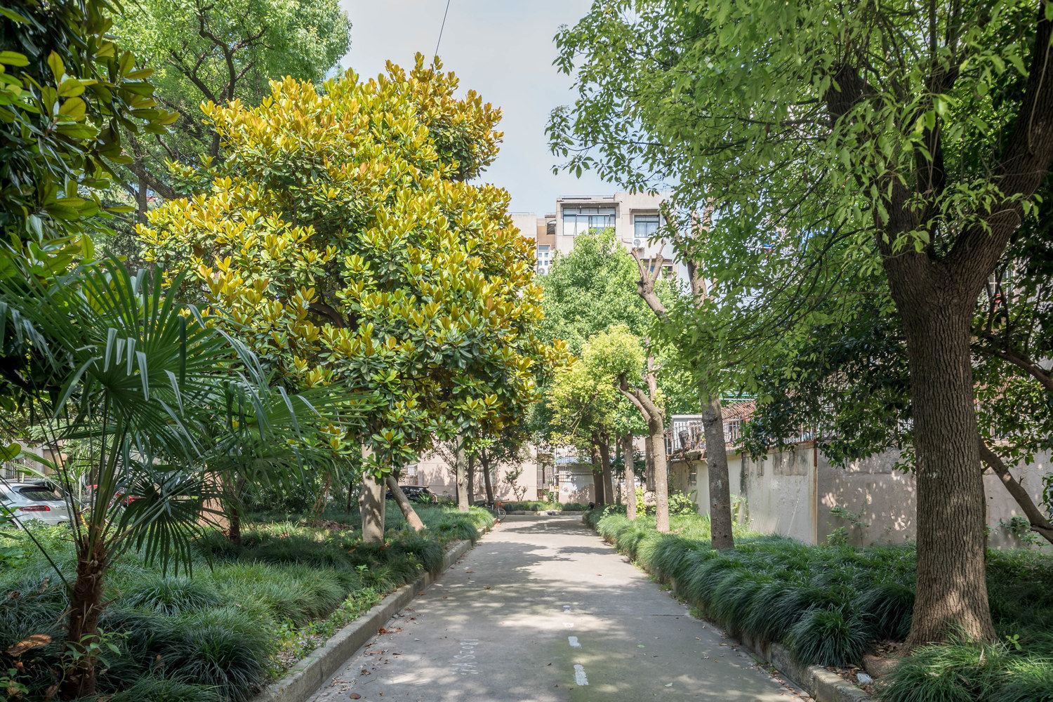 上海杨浦温馨小房屋普通公寓(包头路分店)