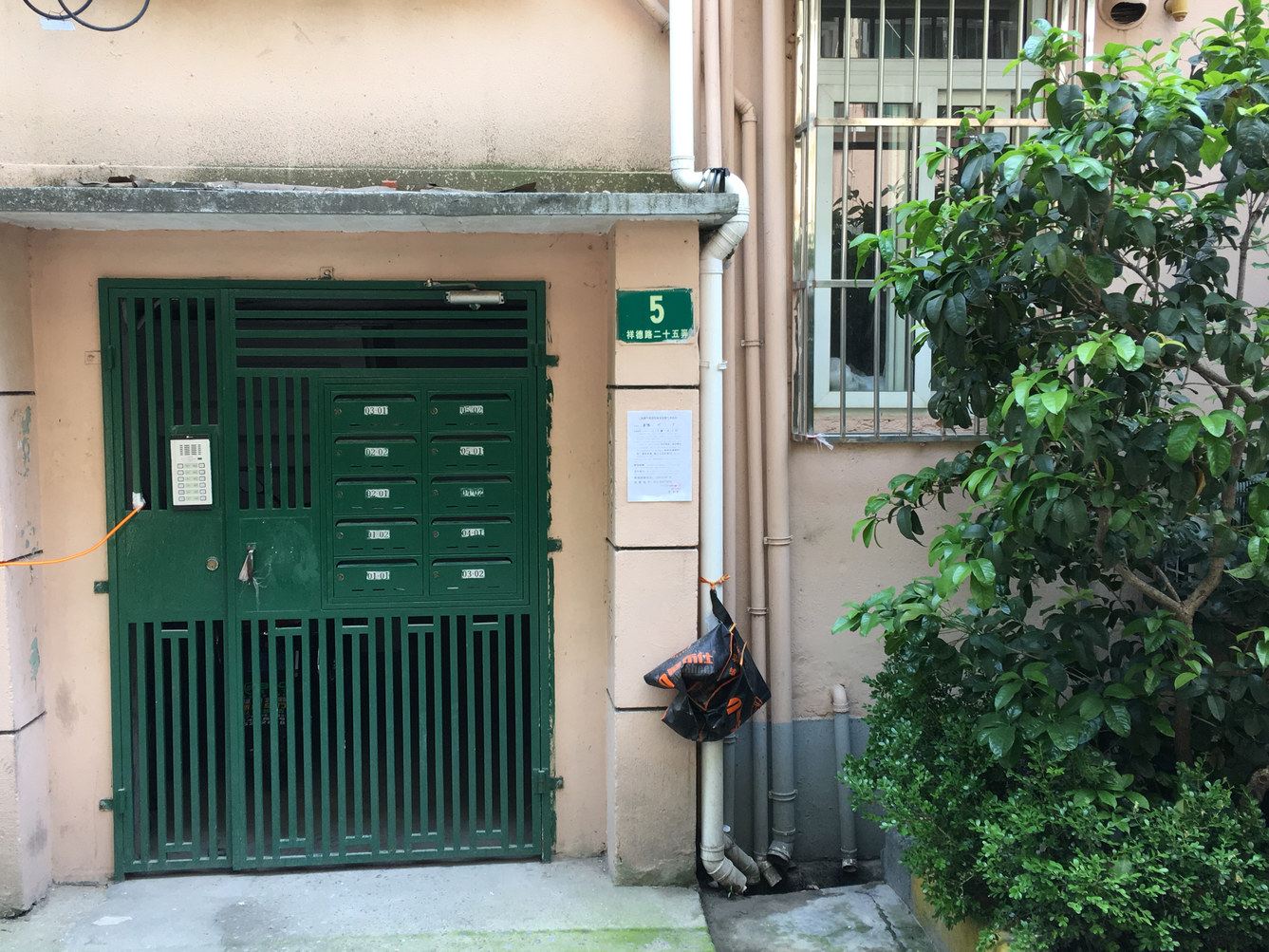 外观