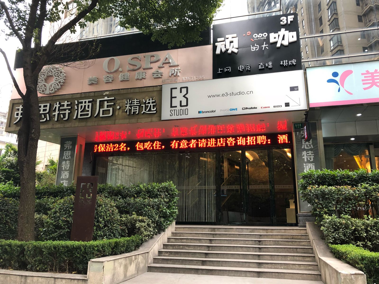 外观