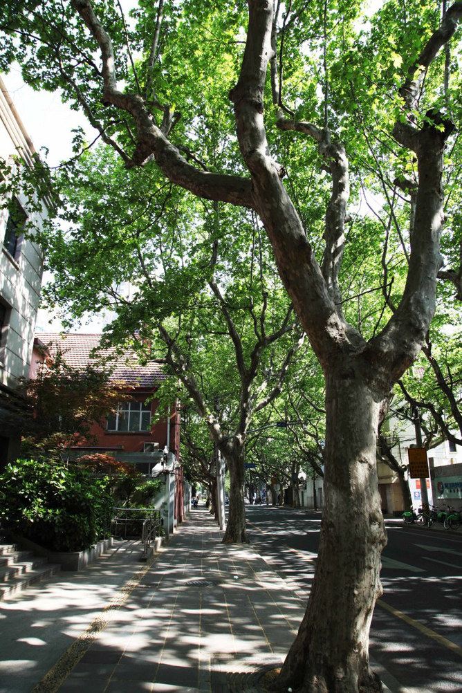 上海守候Hou复式(淮海中路店)