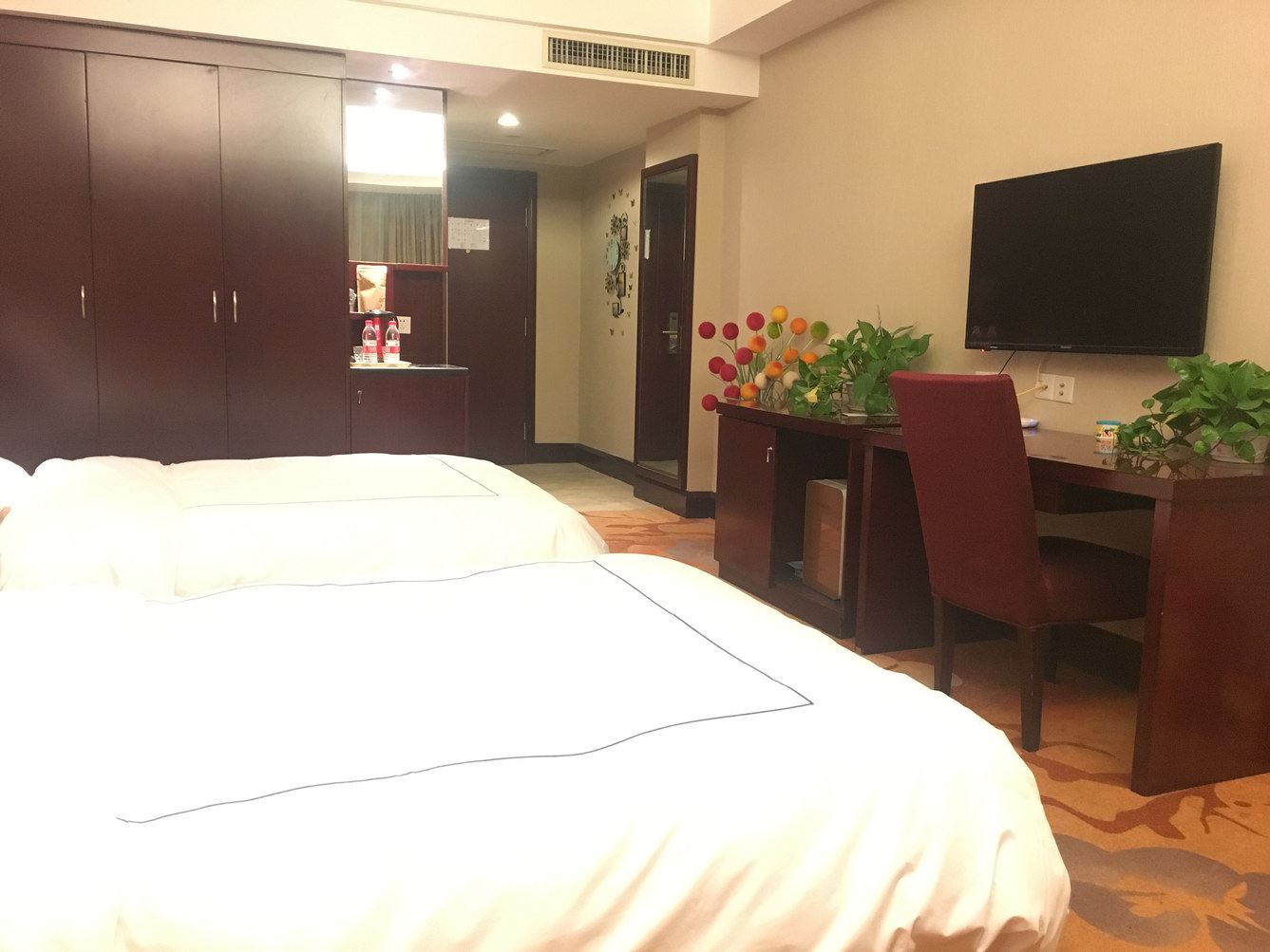 豪华一室单床房
