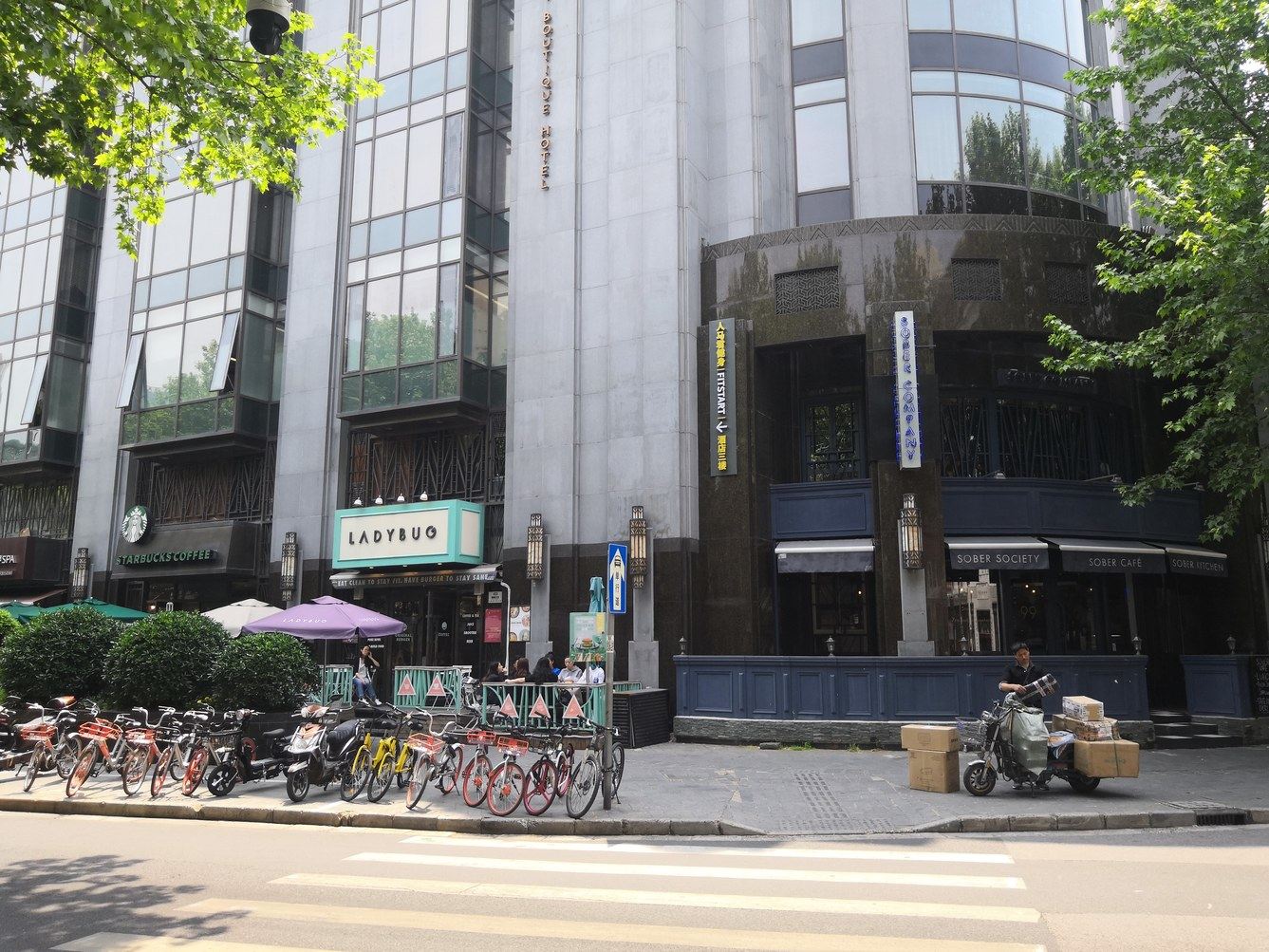 外观