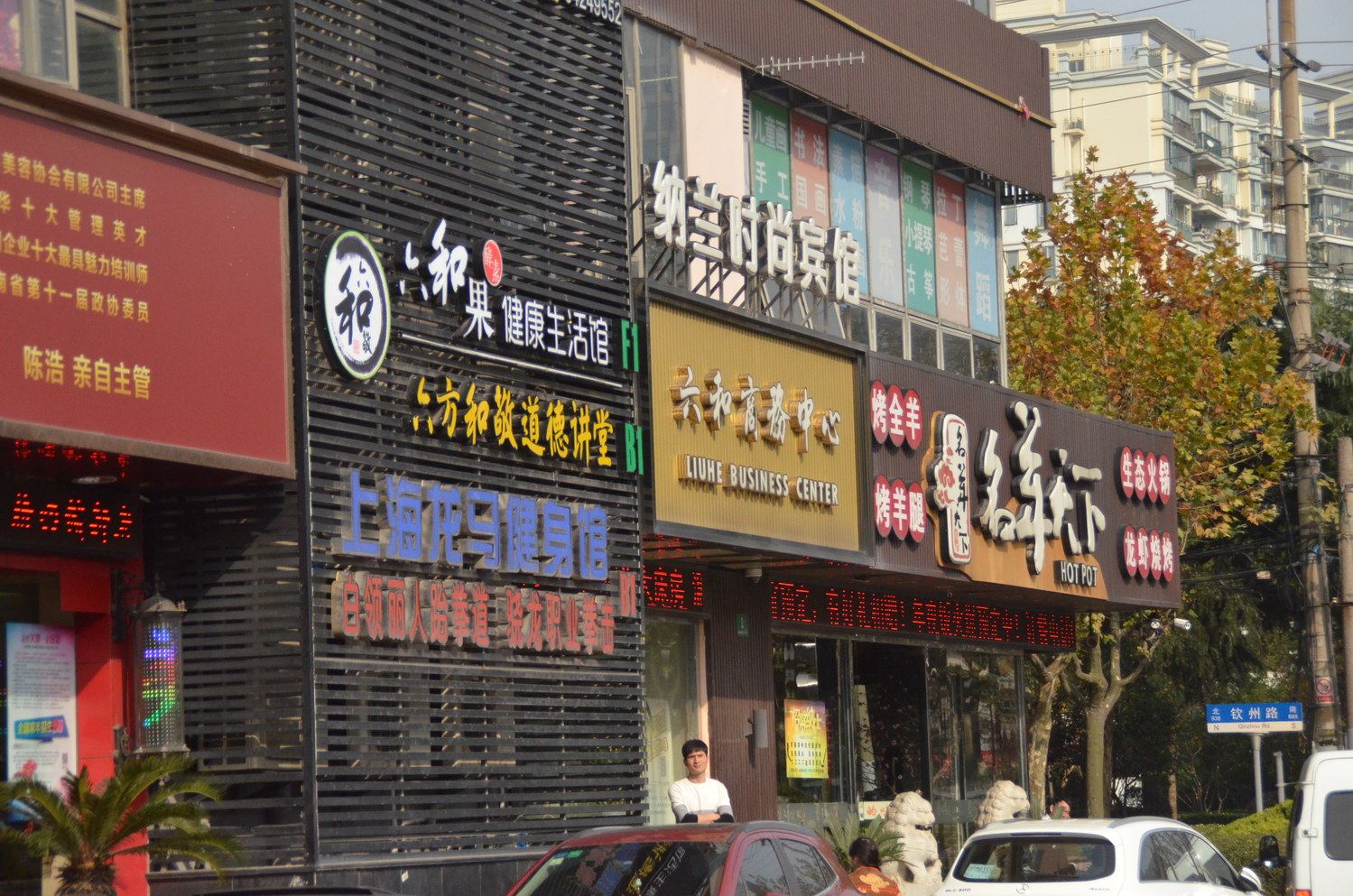 外观