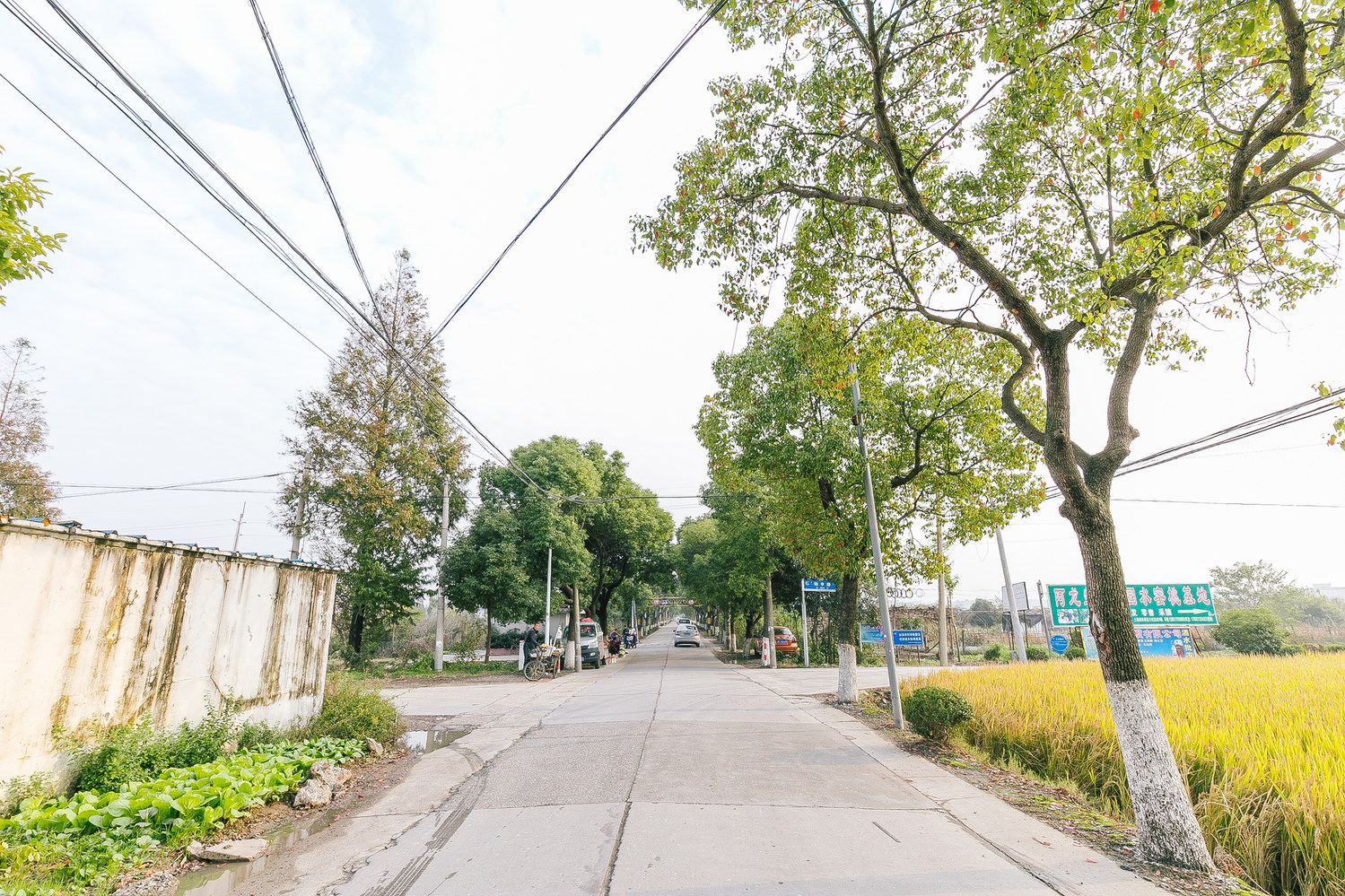 上海爱丽小屋公寓