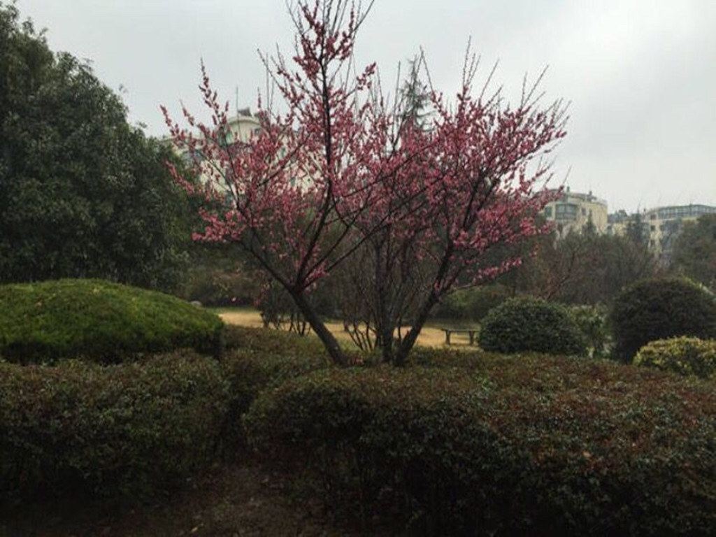 上海优秀花园示范公寓