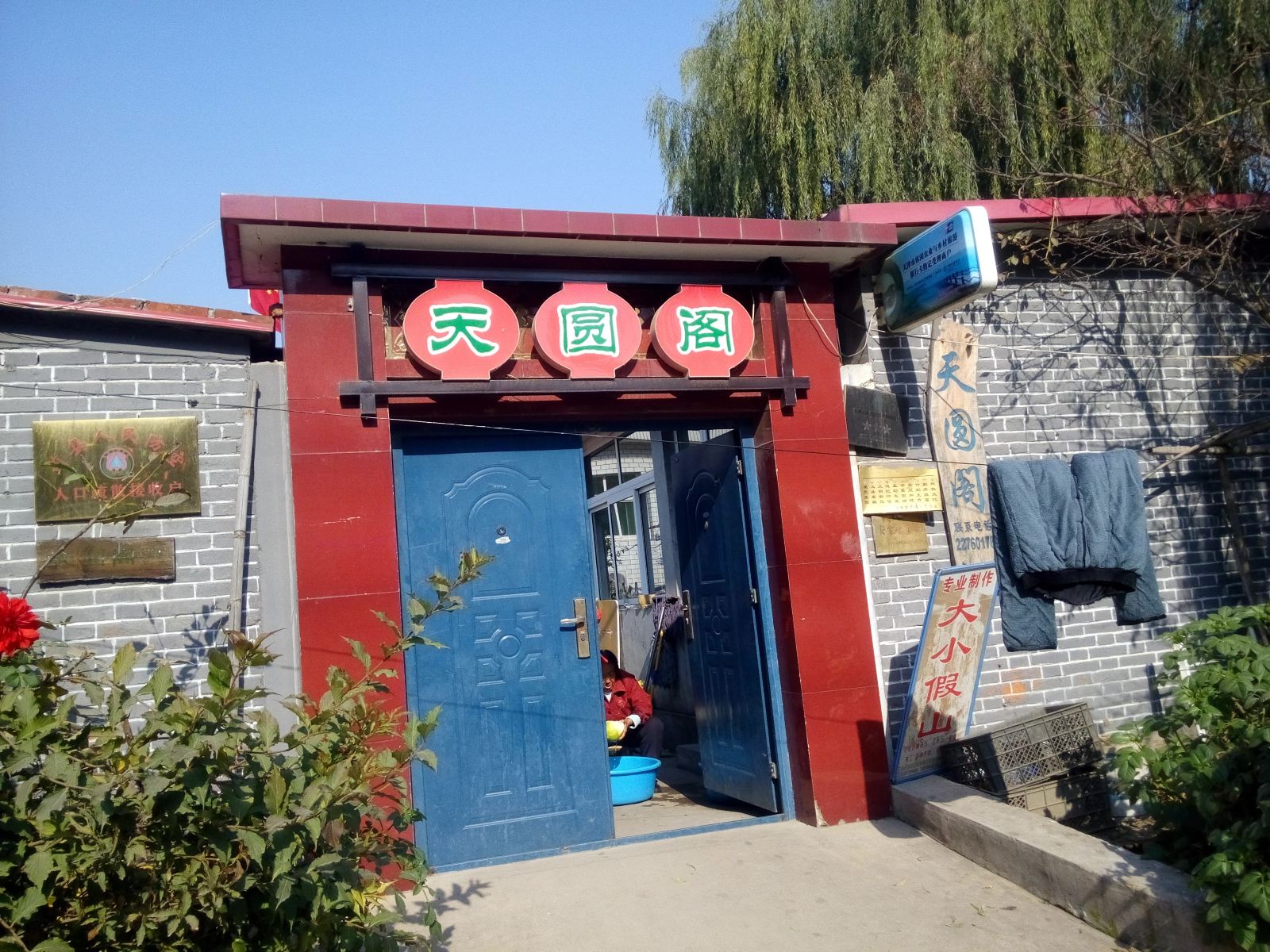 外观