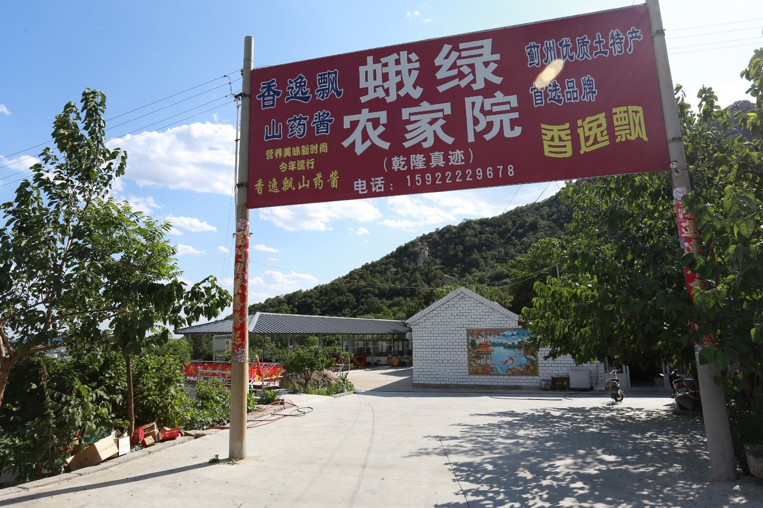 外观