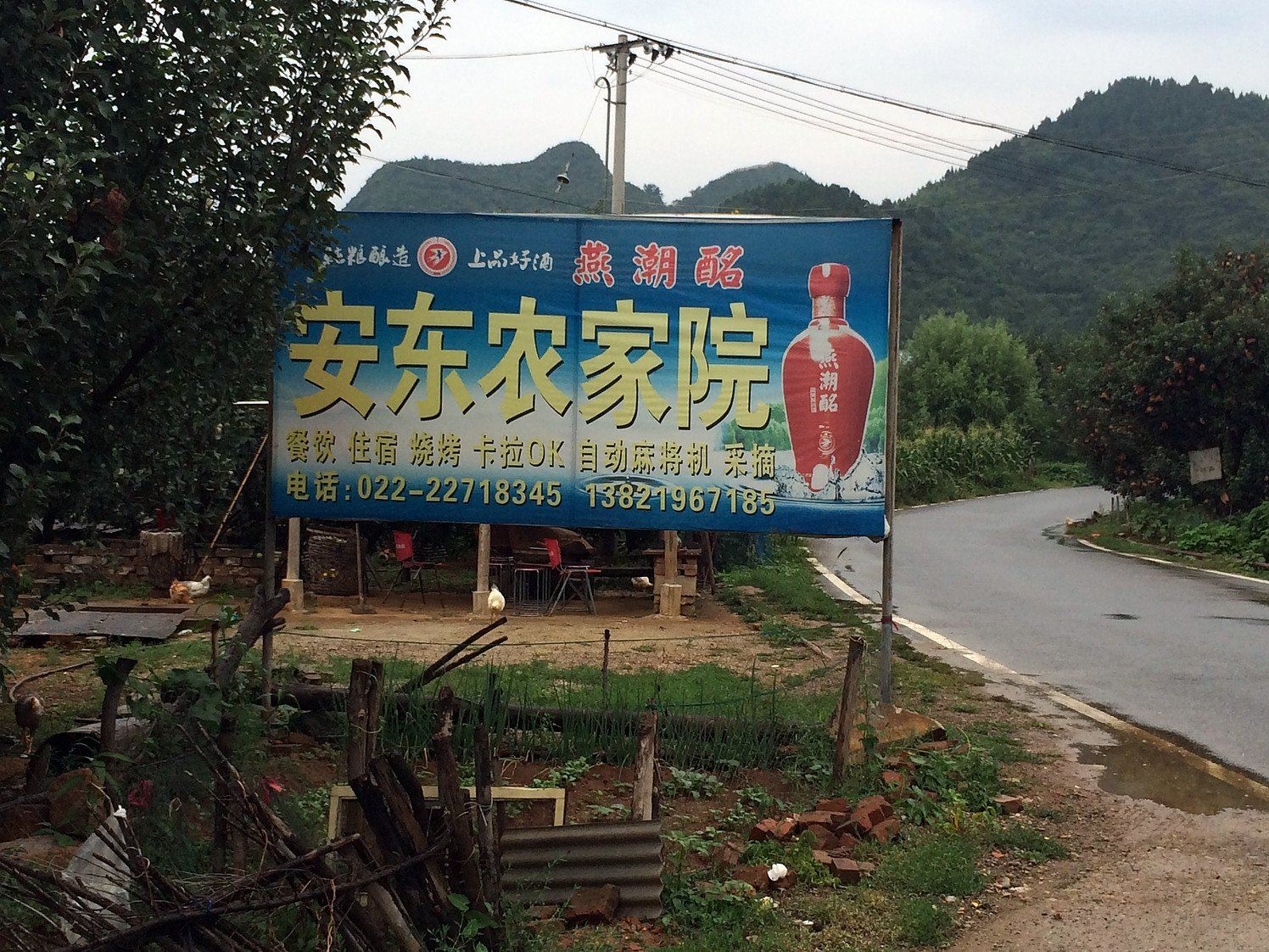 外观
