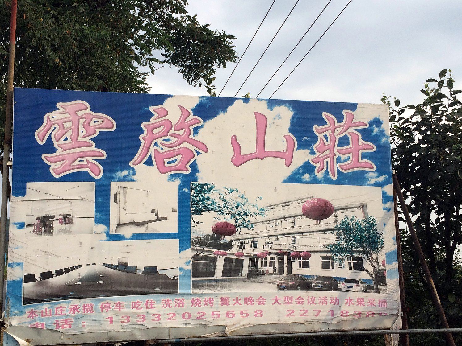 外观
