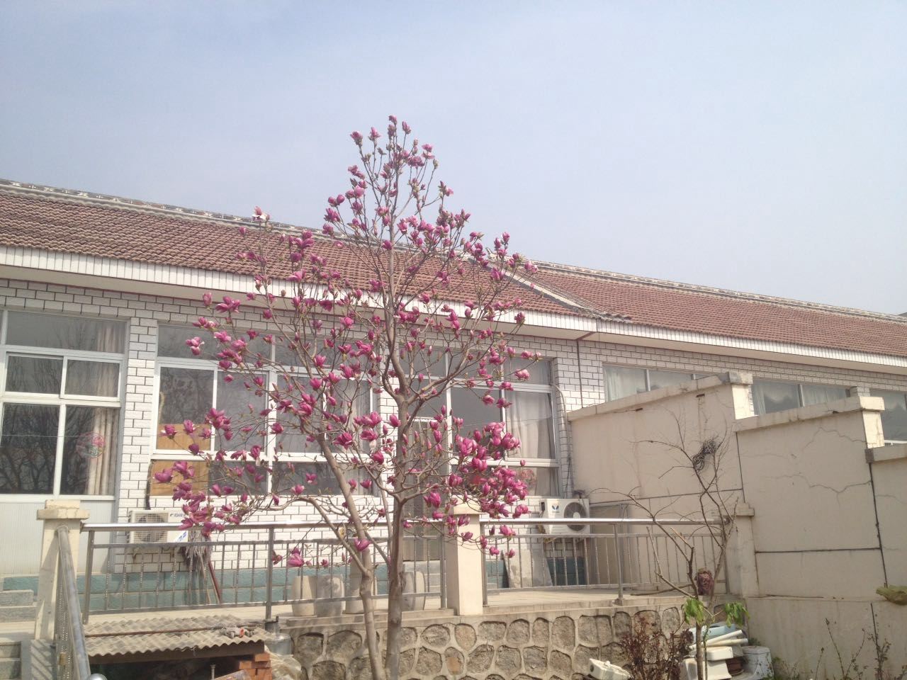天津蓟县盘山山里红农家乐