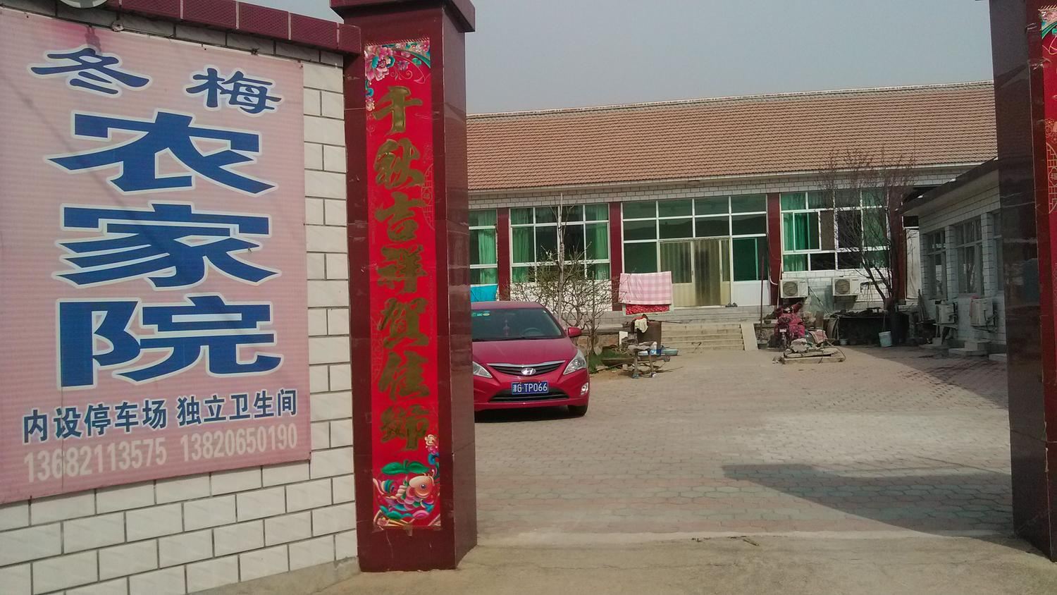 天津冬梅农家院