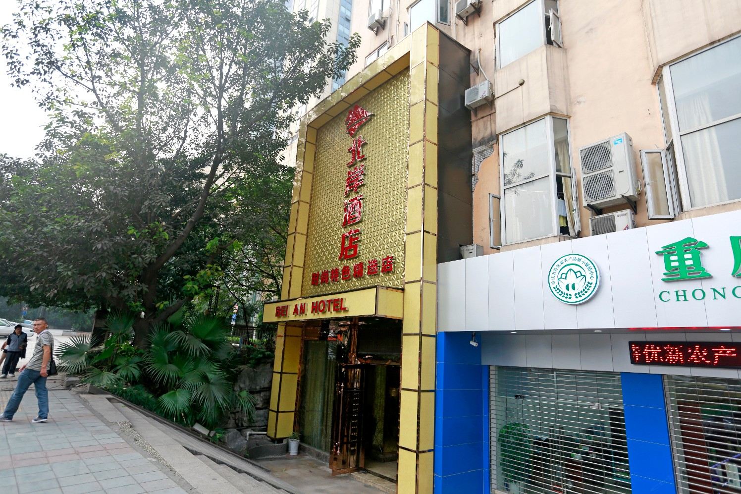 外观