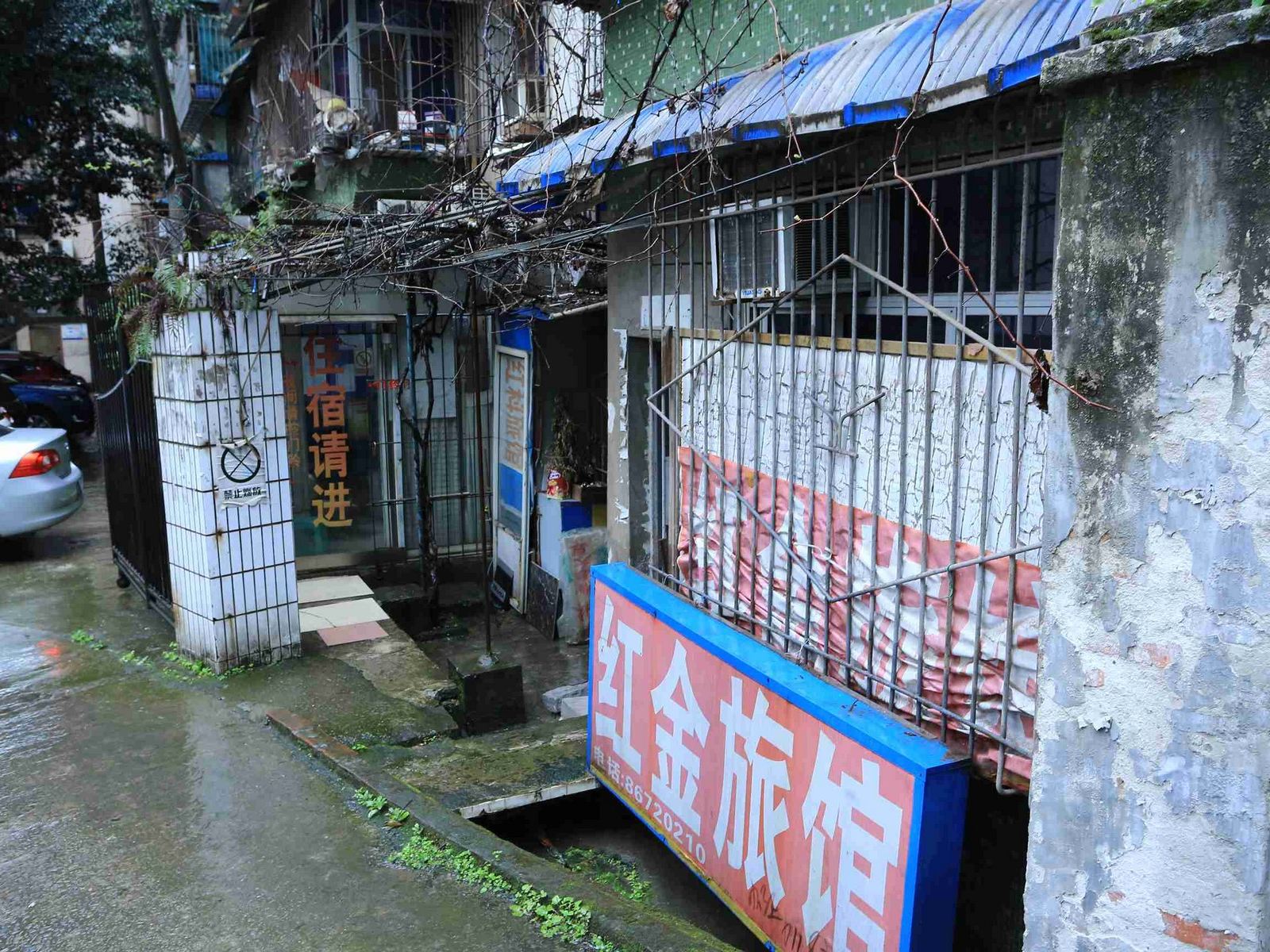 外观