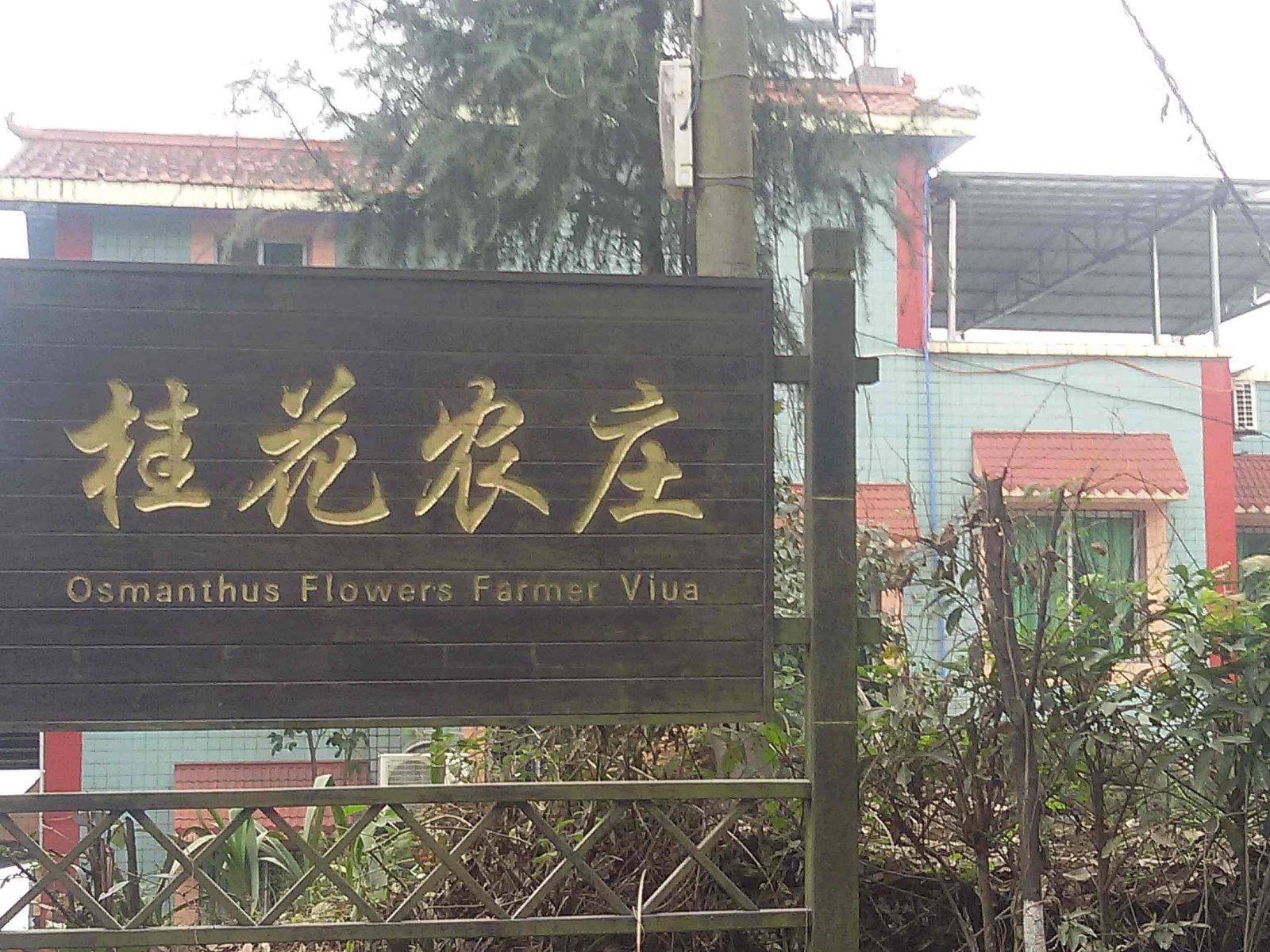 重庆桂花农庄