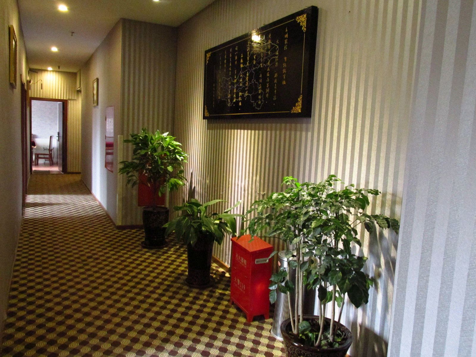 公共区域