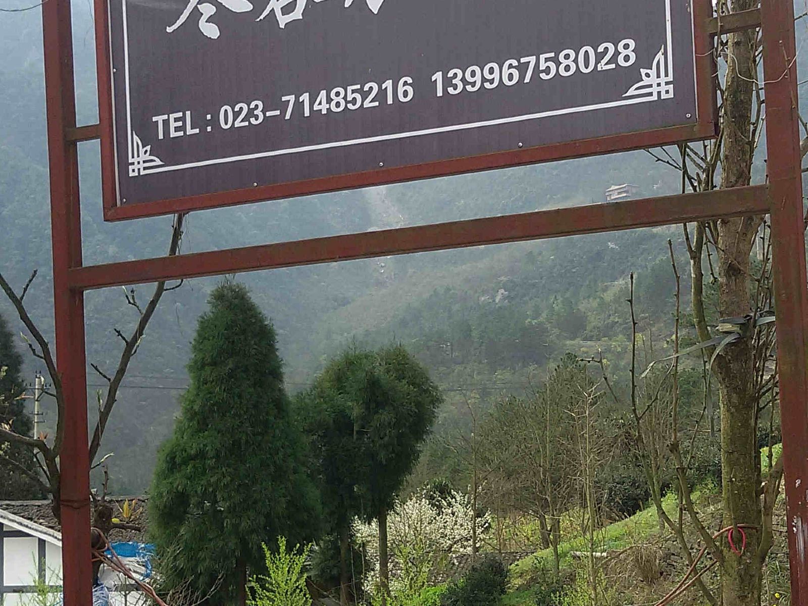 其他
