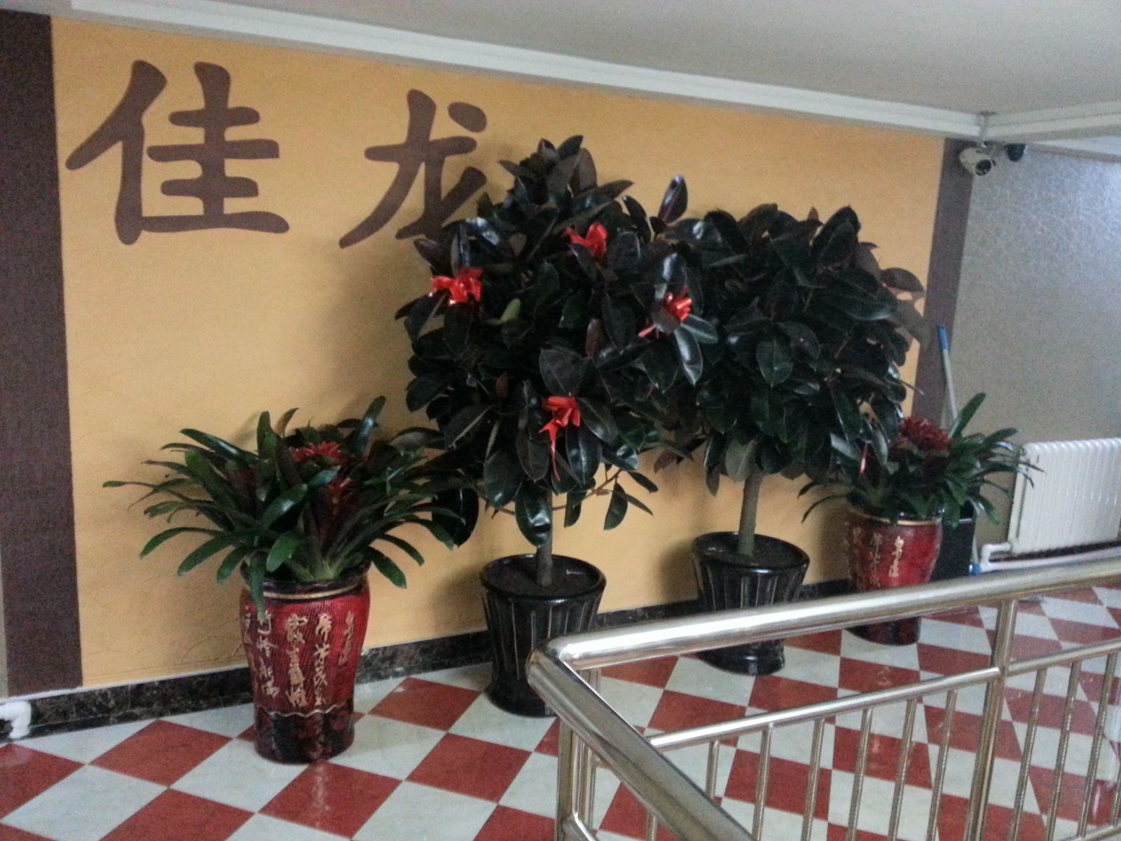 公共区域