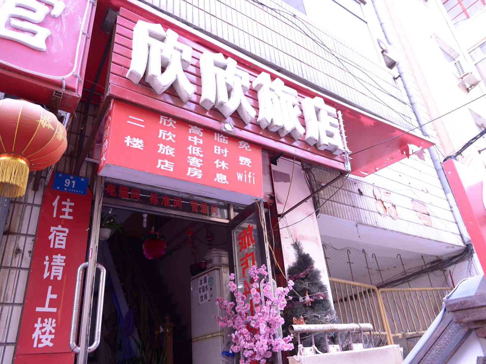 外观